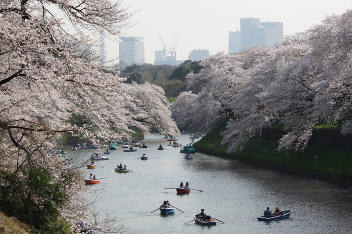 🏯 에도 성터 (에도조아토) 이미지 5